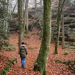 Zur Burgruine