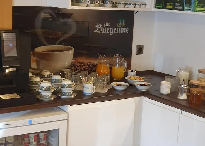 Zur Burgruine Hotel