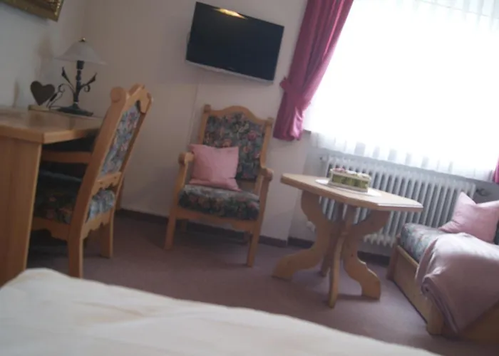Hotel Zur Burgruine Pottenstein