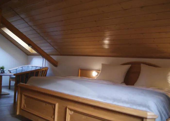 Hotel Zur Burgruine *