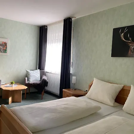 Hotel Zur Burgruine Pottenstein