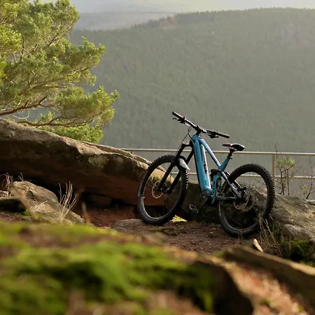 Hotel Zur Burgruine Pottenstein