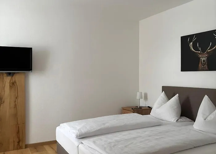Hotel Zur Burgruine